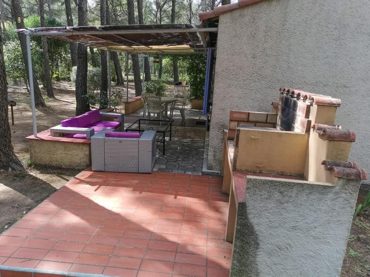 Maisonnette En Pleine Nature Le Beausset Eksteriør billede